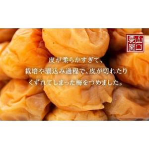 ふるさと納税 加工品等 梅干 和歌山県 上富田...の詳細画像4