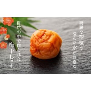 ふるさと納税 加工品等 梅干 和歌山県 上富田...の詳細画像5