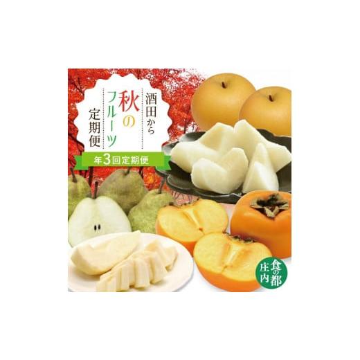 ふるさと納税 梨 山形県 酒田市  3回定期便 酒田から秋のフルーツ定期便 2026 8月下旬〜10...
