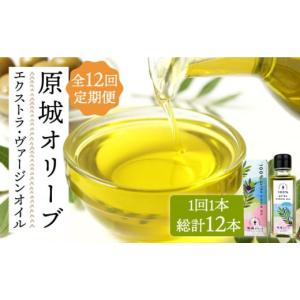 ふるさと納税 食用油 オリーブオイル 長崎県 南島原市 12回定期便 原城 オリーブ エクストラ・ヴァージンオイル 100ml 1本 ／ オリーブオイル オイル 油 調味…