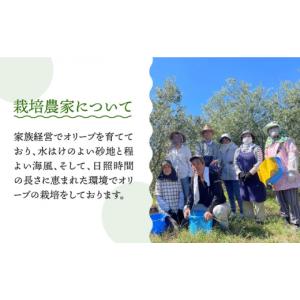 ふるさと納税 食用油 オリーブオイル 長崎県 ...の詳細画像5