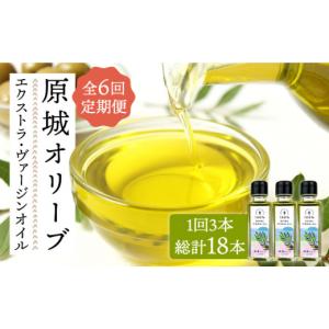 ふるさと納税 食用油 オリーブオイル 長崎県 南島原市 オリーブオイル 6回定期便 原城 オリーブ エクストラ・ヴァージンオイル 100ml 3本 ／ ギフト 贈答 エキ…