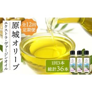ふるさと納税 食用油 オリーブオイル 長崎県 南島原市 12回定期便 原城 オリーブ エクストラ・ヴァージンオイル 100ml 3本 ／ オリーブオイル オイル 油 調味…