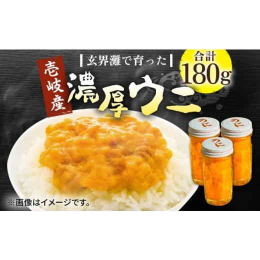 ふるさと納税 長崎県 壱岐市 壱岐産 濃厚 ウニ 60g ×3本《壱岐市》【合同会社塚元】ムラサキウ...