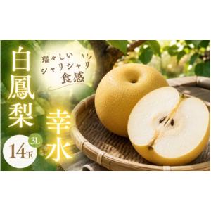 ふるさと納税 梨 三重県 伊賀市 梨 幸水 《...の詳細画像1
