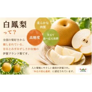 ふるさと納税 梨 三重県 伊賀市 梨 幸水 《...の詳細画像2