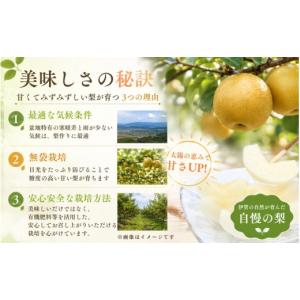 ふるさと納税 梨 三重県 伊賀市 梨 幸水 《...の詳細画像4