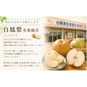 ふるさと納税 梨 三重県 伊賀市 梨 幸水 《...の詳細画像5