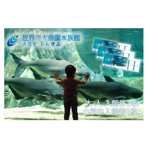 ふるさと納税 入場券・優待券 岐阜県 各務原市 508 世界淡水魚園水族館　アクア・トトぎふ　入館券...