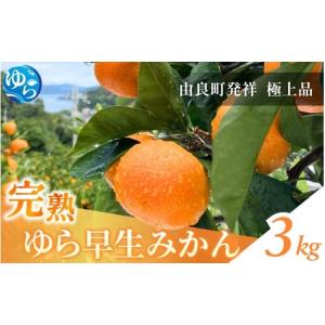 ふるさと納税 果物類 みかん 和歌山県 由良町  2026年秋・発送分 完熟ゆら早生みかん 3kg 2026年11月上旬頃より順次発送予定 ／ 和歌山県 柑橘 みかん 甘い 蜜…｜ふるさとチョイス