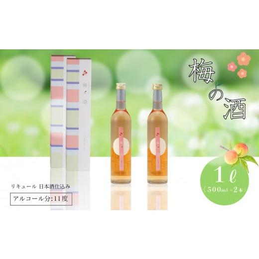 ふるさと納税 山口県 下関市 梅の酒 リキュール 500ml × 2本  ( 酒 梅酒 果実酒 プレ...