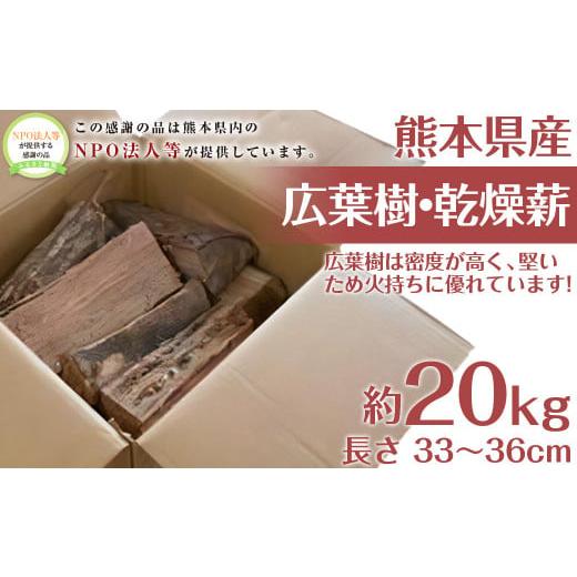 ふるさと納税 熊本県 - 広葉樹・乾燥薪 1箱 約20kg 焚き木 薪 焚き火 ストーブ アウトドア