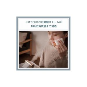 ふるさと納税 美容・健康家電 新潟県 - ふる...の詳細画像4