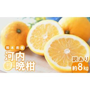 ふるさと納税 熊本県 苓北町 熊本県産 訳あり 河内晩柑 約8kg 果物 フルーツ 和製 グレープフ...