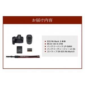 ふるさと納税 TV・オーディオ・カメラ 大分県...の詳細画像4