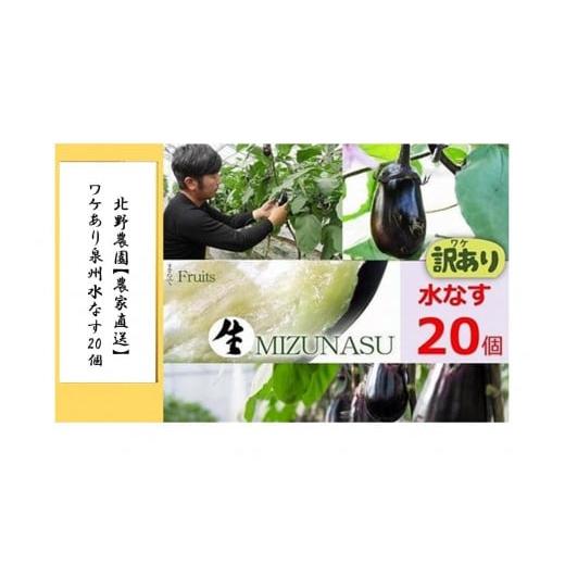 ふるさと納税 大阪府 貝塚市 北野農園【農家直送】ワケあり泉州水なす20個 ／訳あり 家庭用 不揃い...