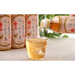 ふるさと納税 お茶類 石川県 羽咋市 全6回定...の詳細画像4