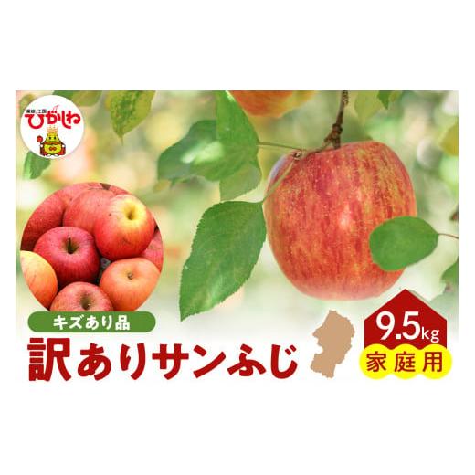 ふるさと納税 山形県 東根市 【令和6年産 先行予約】※訳あり※ サンふじ満杯詰(約9.5kg) 東...