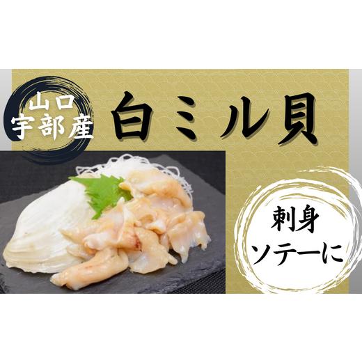 ふるさと納税 山口県 宇部市 山口 宇部産 新鮮 白ミル貝 約500g【山口県 宇部市 鍋 新鮮 貝...