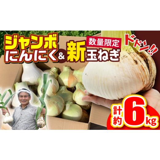 ふるさと納税 長崎県 平戸市 【先行予約】【季節限定】ジャンボにんにく約1kg・新玉葱約5kgセット...