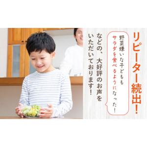 ふるさと納税 調味料・油 ドレッシング 長崎県...の詳細画像3