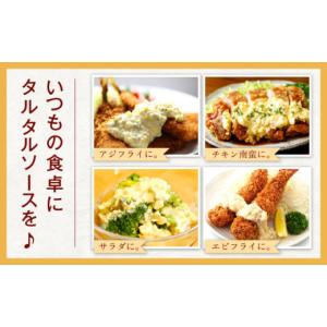 ふるさと納税 調味料・油 ドレッシング 長崎県...の詳細画像3