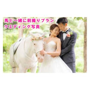 ふるさと納税 体験チケット 宮城県 大郷町 馬と一緒に前撮りプラン｜ウエディング 写真 東北 宮城 仙台 記念 写真 チケット クーポン 入場券 体験 結婚式 0093…
