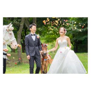 ふるさと納税 体験チケット 宮城県 大郷町 馬...の詳細画像3
