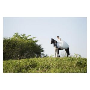 ふるさと納税 体験チケット 宮城県 大郷町 馬...の詳細画像5