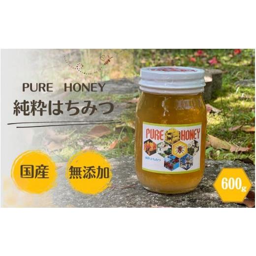 ふるさと納税 和歌山県 田辺市 PURE HONEY 純粋はちみつ　600g  ／ 田辺市 はちみつ...