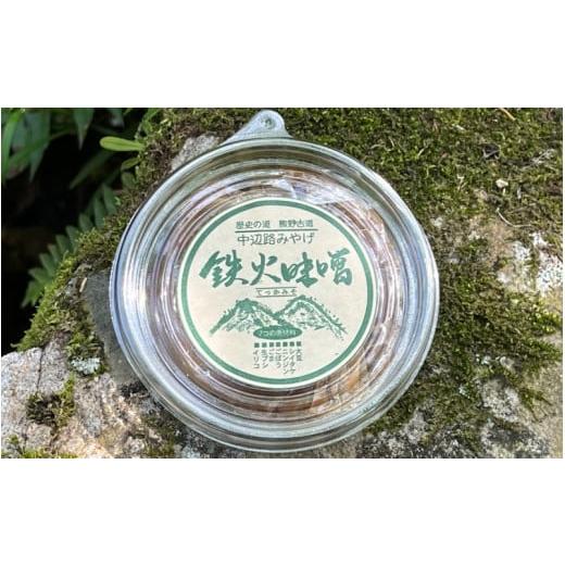 ふるさと納税 和歌山県 田辺市 鉄火味噌　2個セット  ／ 田辺市 みそ 味噌 ミソ 手作り 鉄火