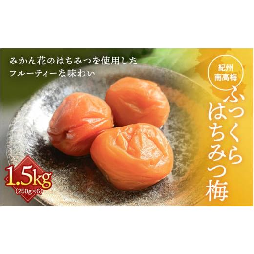 ふるさと納税 和歌山県 田辺市 ふっくらはちみつ梅 計1.5kg（約250g×6個） ／ 大容量 は...