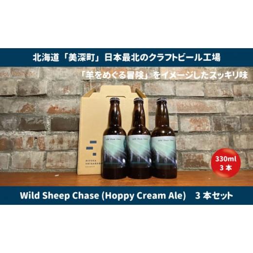 ふるさと納税 北海道 美深町 [No.5894-0555]美深のクラフトビール　定番その2の3本セッ...