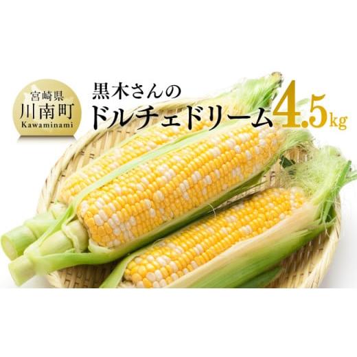 ふるさと納税 宮崎県 川南町 黒木さんちのスイートコーン「ドルチェドリーム」4.5kg【 数量限定 ...