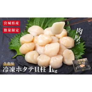 ふるさと納税 魚貝類 ホタテ 宮城県 石巻市  先行予約 ホタテ貝柱 1kg 数量限定 宮城県産 ほたて 貝柱 生食用 冷凍 肉厚 帆立 貝柱 生食 海鮮 魚介類 貝類 海…