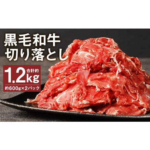 ふるさと納税 熊本県 菊池市 黒毛和牛 切り落とし 約1.2kg 600g×2パック 牛肉