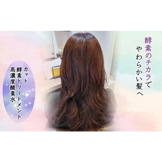 ふるさと納税 体験チケット 千葉県 白井市 「酵素のチカラでやわらかい髪へ 」ご利用券 酵素トリート...