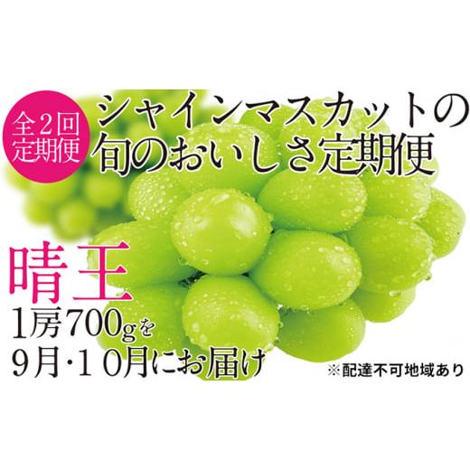 ふるさと納税 岡山県 瀬戸内市 ぶどう 2024年 先行予約 9月・10月発送 シャイン マスカット...