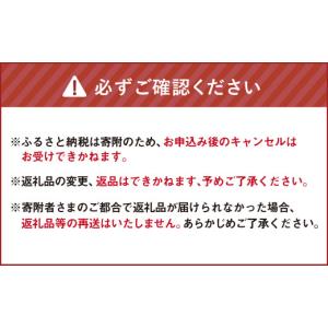 ふるさと納税 空調・季節家電 北海道 北広島市...の詳細画像5