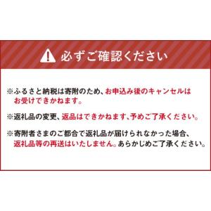 ふるさと納税 空調・季節家電 北海道 北広島市...の詳細画像5