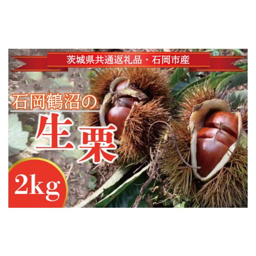 ふるさと納税 果物類 栗 茨城県 行方市  先行予約 2026年9月中旬より順次発送 石岡鶴沼の生栗...
