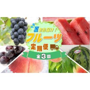 ふるさと納税 果物の詰合せ 和歌山県 かつらぎ町...の商品画像