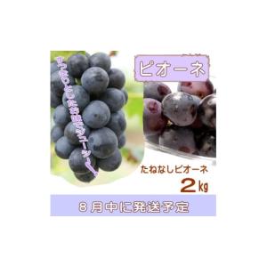ふるさと納税 果物の詰合せ 和歌山県 かつらぎ...の詳細画像4