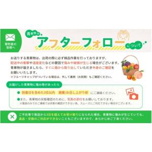 ふるさと納税 果物の詰合せ 和歌山県 かつらぎ...の詳細画像5
