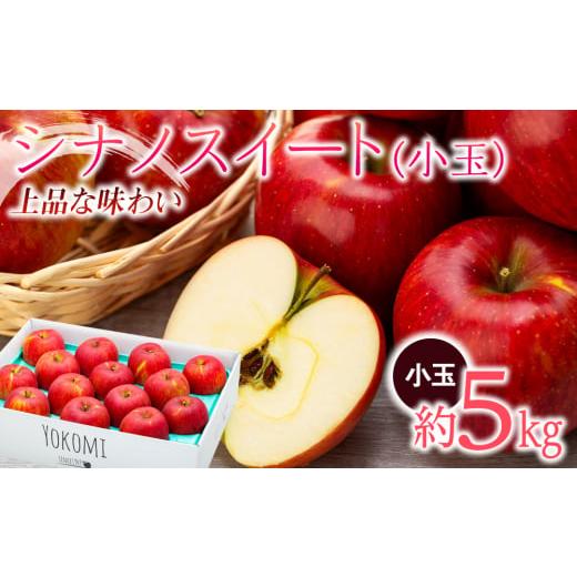 ふるさと納税 りんご 長野県 箕輪町 2025年/令和7年度発送分 信州りんごシナノスイート 小玉...