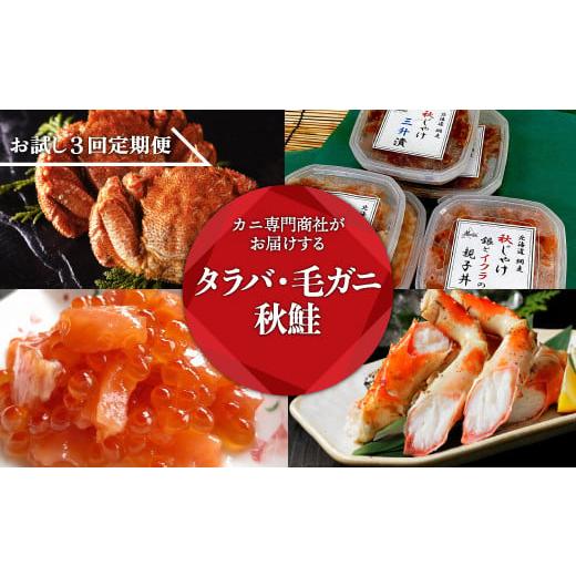 ふるさと納税 カニ タラバガニ 北海道 網走市  定期便 カニ専門商社がお届けする タラバ・毛ガニ・...