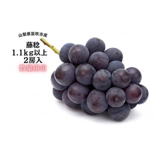 ふるさと納税 ぶどう 山梨県 笛吹市  2026年発送 先行予約 『数量限定』一大産地笛吹市御坂町の...