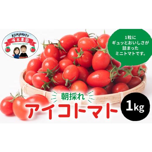 ふるさと納税 熊本県 八代市 産地直送 八代産 アイコトマト 1kg ミニトマト
