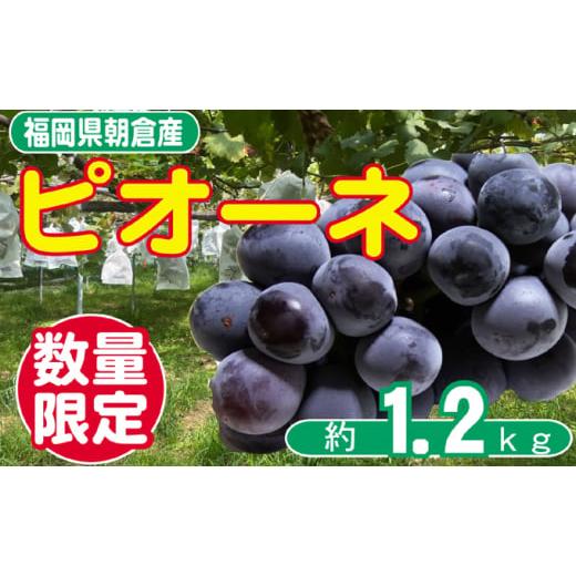 ふるさと納税 福岡県 朝倉市 ぶどう ピオーネ 先行予約 約2〜4房 約1.2kg 配送不可 離島