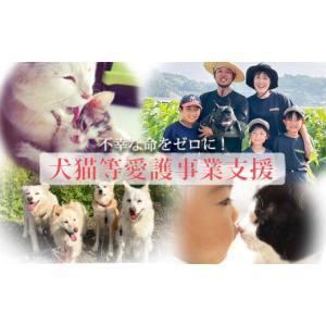 ふるさと納税 生き物 宮崎県 高原町 返礼品なし 犬猫等愛護活動 犬と猫と人にとって住みよい社会づくりを応援 宮崎県 高原町 特定非営利活動法人 咲桃虎(さく…